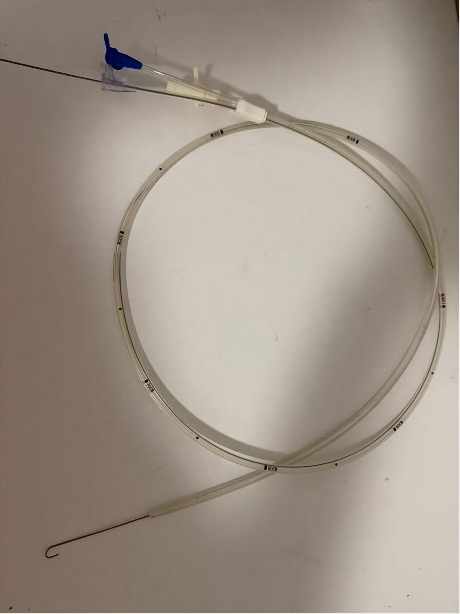 一种双导丝多功能经鼻肠管